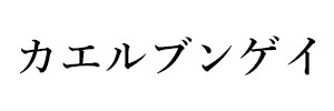 カエルブンゲイ